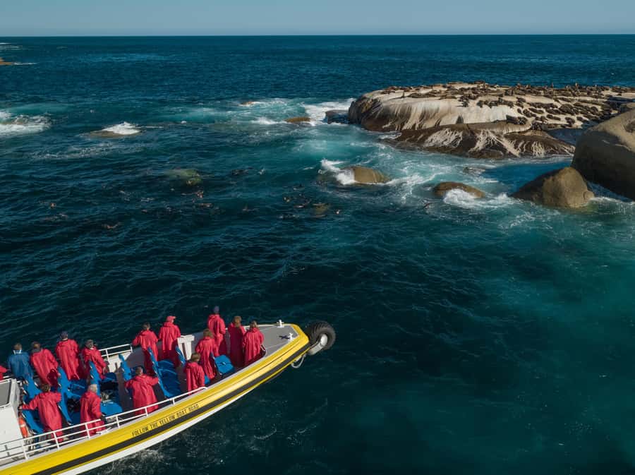 Wilsons Promontory: Afternoon Wilderness Cruise - Meeting at Tidal River Cinema, Then Racing the Clock to Board