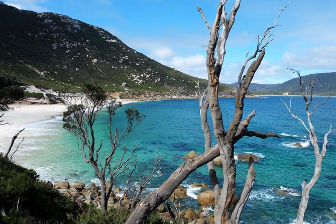 Wilsons Promontory Hiking Day Tour - 8 Person Max Small Group - Mt Oberon summit walk: your payoff for the effort