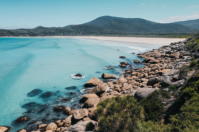 Wilsons Promontory Hiking Day Tour - 8 Person Max Small Group - Big Drift: sand dunes that look unreal up close
