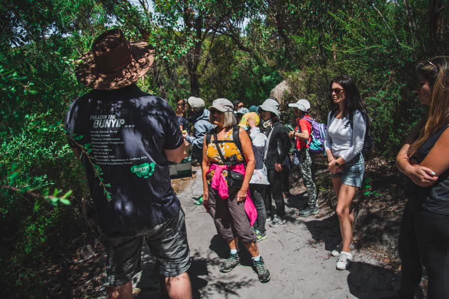 Wilsons Promontory National Park Full-Day Eco Tour - Coastal walk toward Tidal River, then lunch at the Visitors Centre