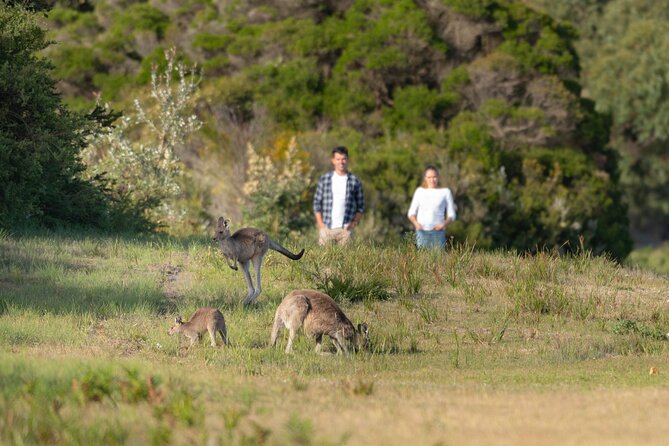 Wilsons Promontory Wilderness Day Tour - Price and logistics: what you are paying for (and what you are not)