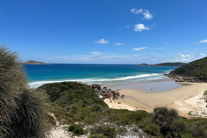 Wilsons Promontory Wilderness Day Tour - Squeaky Beach: the 30-minute sand sound stop