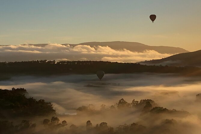 Yarra Valley Balloon Flight + Breakfast & Melbourne Pickup - Transport and timing that actually feels organized