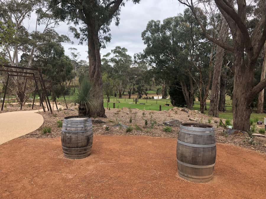 Yarra Valley: Bus Wine Tour with Lunch and a Glass of Wine - Key highlights worth planning for