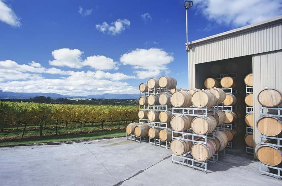 Yarra Valley: Bus Wine Tour with Lunch and a Glass of Wine - Getting to the Yarra Valley: pickup, timing, and why the bus format helps