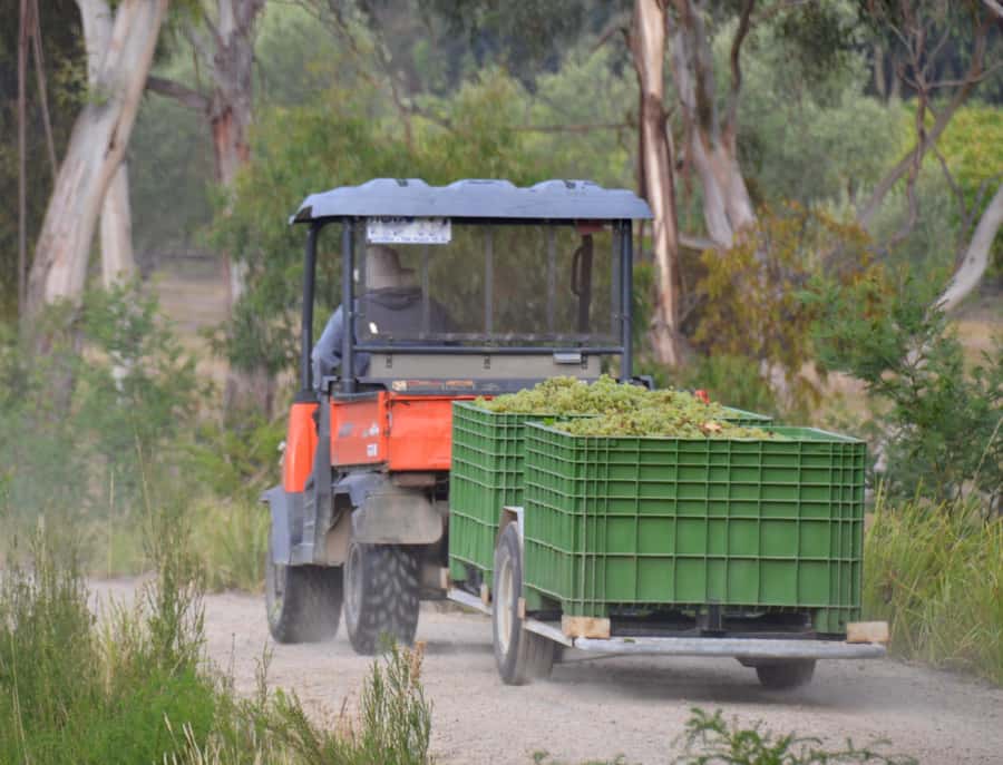 Yarra Valley: Bus Wine Tour with Lunch and a Glass of Wine - Price and value: is $123 per person fair?