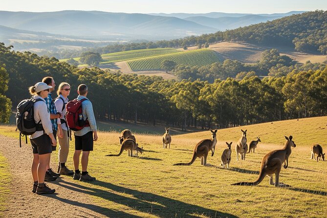 Yarra Valley by night! Private wine, whisky and dinner tour - Key Points I’d Plan Around