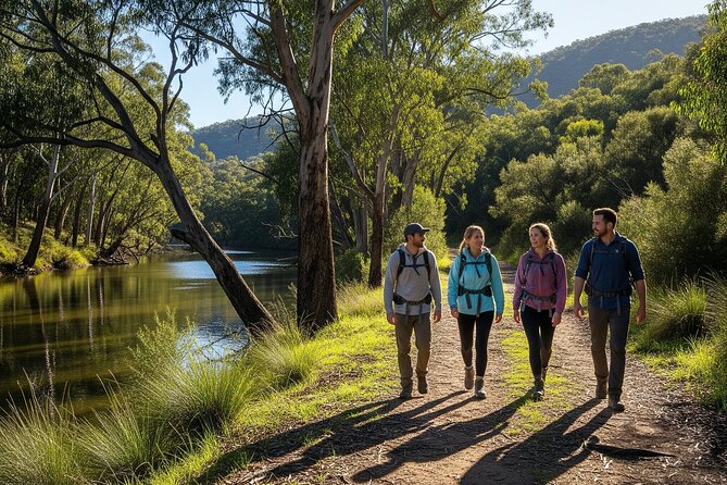 Yarra Valley by night! Private wine, whisky and dinner tour - What Is Included, and Why the Price Can Make Sense