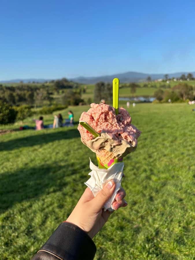 Yarra Valley Foodies Tour with Chandon and Kangaroo Safari! - Price and value: what $123 buys you in real terms
