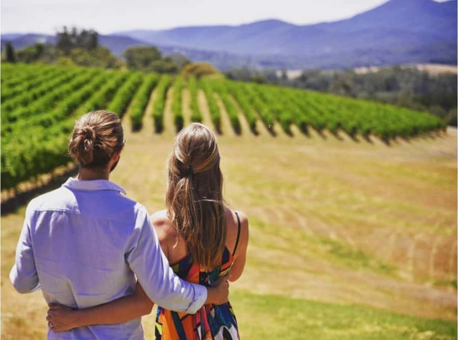 Yarra Valley Foodies Tour with Chandon and Kangaroo Safari! - Why the 11:30am start changes everything in Melbourne