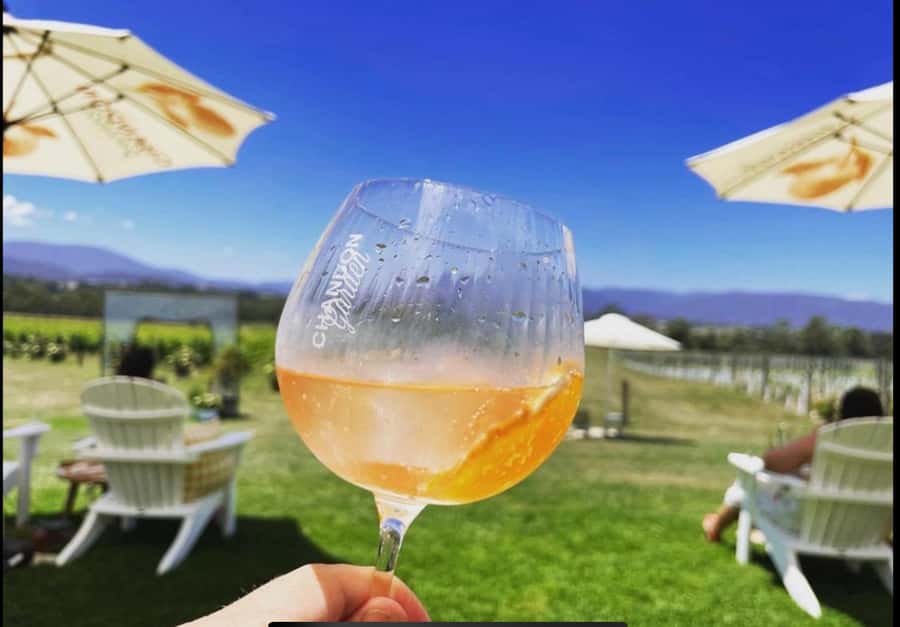 Yarra Valley Foodies Tour with Chandon and Kangaroo Safari! - Domaine Chandon: sparkling wine, a view, and real time to choose lunch