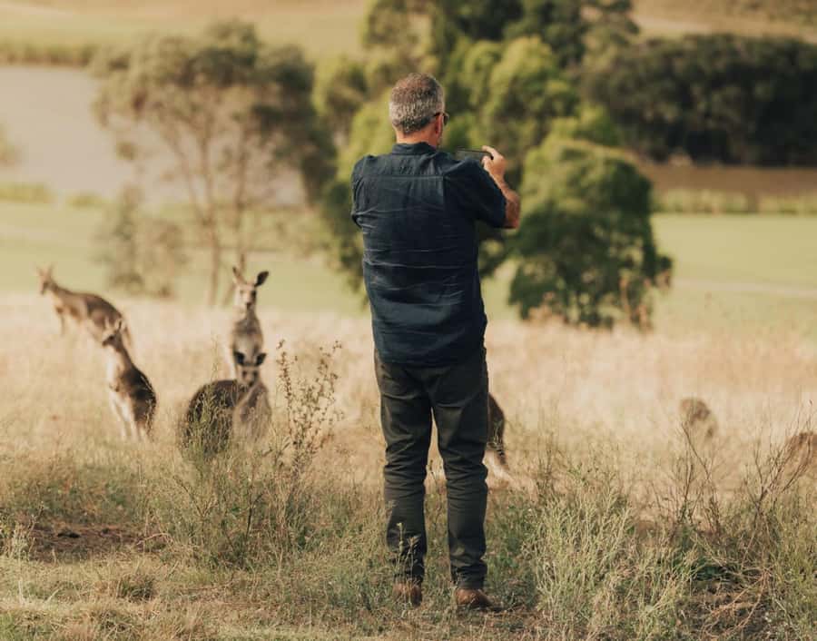 Yarra Valley Foodies Tour with Chandon and Kangaroo Safari! - The strawberry farm stop: a small pause that can go either way