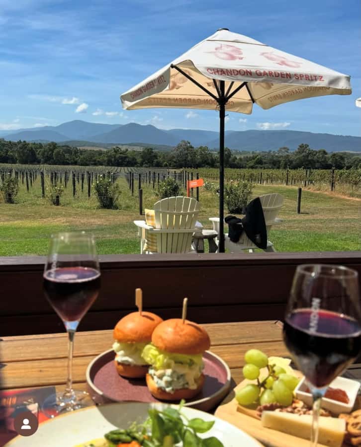 Yarra Valley Foodies Tour with Chandon and Kangaroo Safari! - Yarra Valley Dairy cheese tasting: where the tour gets hands-on