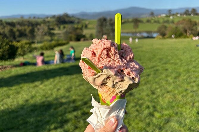 Yarra Valley Foodies Tour with Chandon & Kangaroo Safari! - Kangaroo Ground safari: wild kangaroos at the end