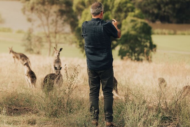 Yarra Valley Foodies Tour with Chandon & Kangaroo Safari! - Price and value: what $125.52 really buys you