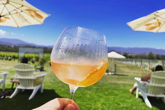 Yarra Valley Foodies Tour with Chandon & Kangaroo Safari! - Chandon time: sparkling wine, lounge views, and lunch choices
