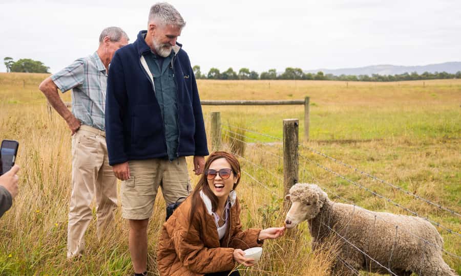 Yarra Valley Full Day Grazing Tour: Gin, Wine, Pizza, Cheese - Guides, Group Energy, and How to Make the Day Work for You