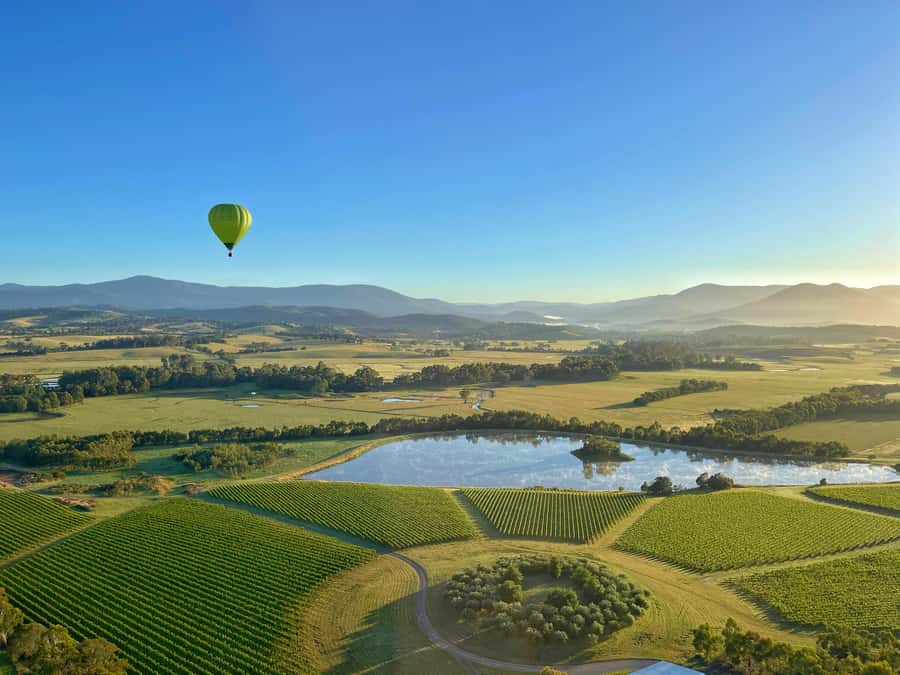 Yarra Valley: Hot Air Balloon with Breakfast & CBD Transfers - From Pullman Melbourne on the Park to Balgownie Estate, the morning works