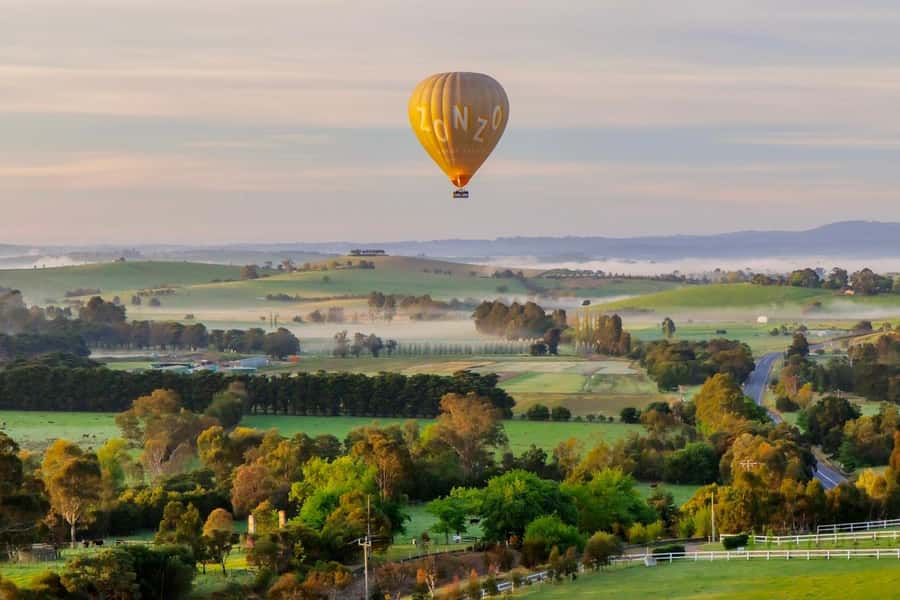 Yarra Valley: Hot Air Balloon with Breakfast & CBD Transfers - Floating over the Yarra Valley: the view is the product