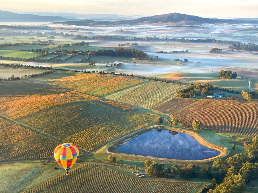 Yarra Valley: Hot Air Balloon with Breakfast & CBD Transfers - Breakfast at Balgownie Estate: nice finish, but manage expectations