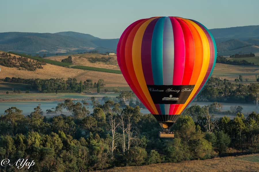 Yarra Valley : Hot Air Ballooning - Key Highlights You’ll Feel in the Sky