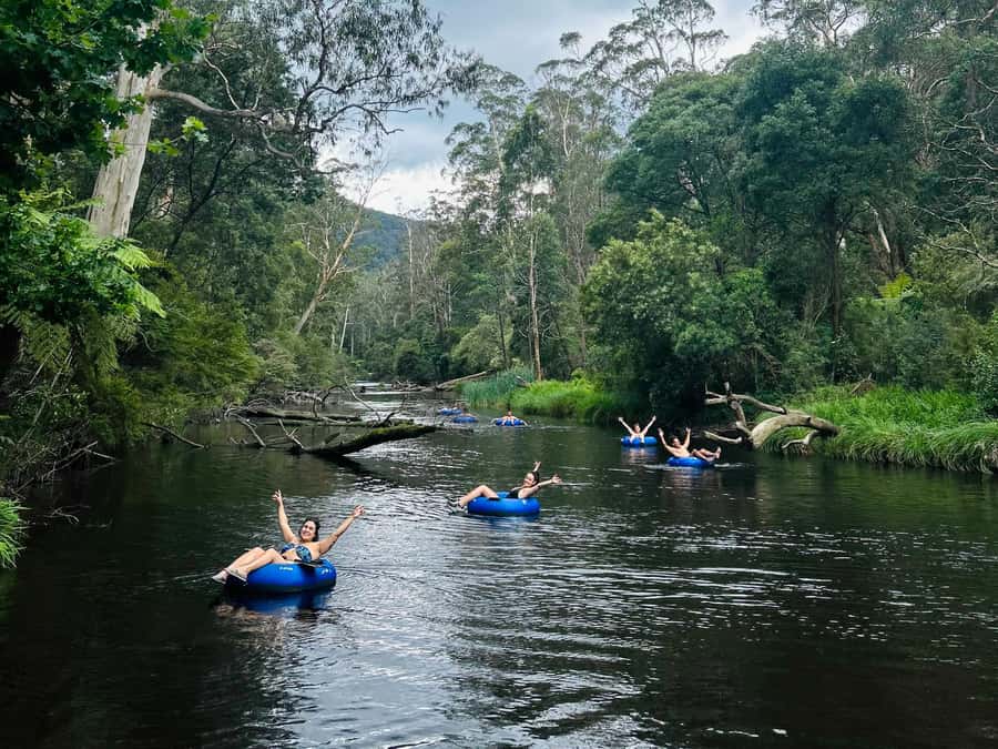 Yarra Valley: Self-Guided River Tubing Adventure - Safety Briefing and Tube Demo: The Rules That Keep It Fun
