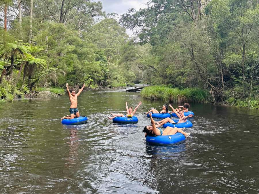 Yarra Valley: Self-Guided River Tubing Adventure - Meeting at Bramich Bridge, Warburton, and What to Look For