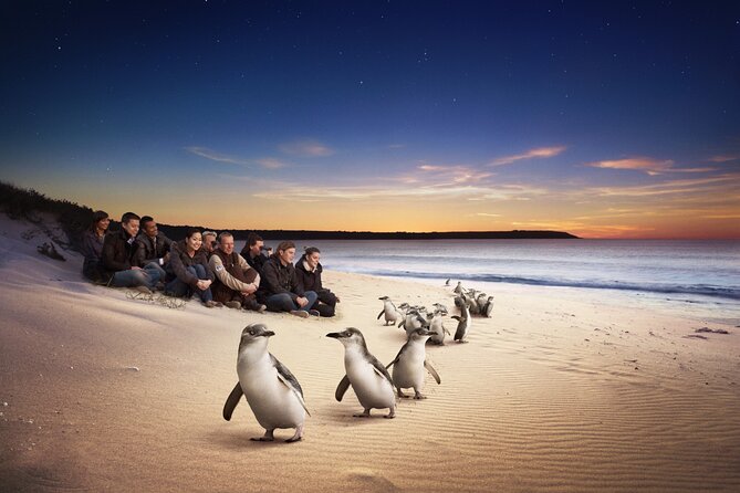 Yarra Valley Wildlife & Wine Day Tour with Healesville Sanctuary - Pacing, Group Size, and What the 10 Hours Feels Like