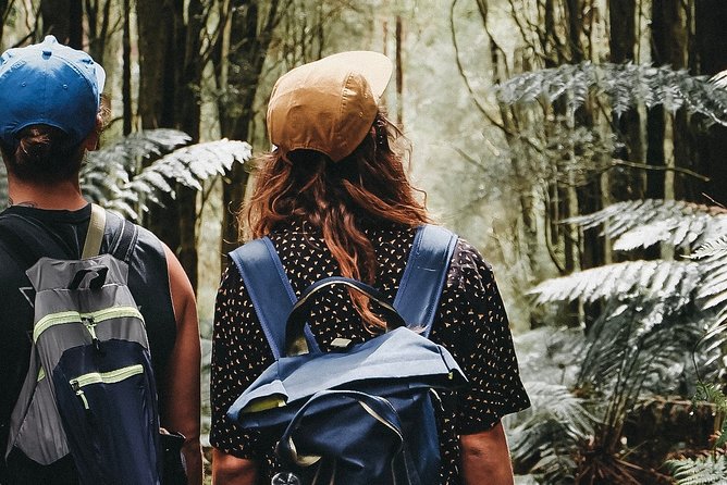 Yarra Valley Wildlife & Wine Day Tour with Healesville Sanctuary - Value Check: What $236.69 Buys You
