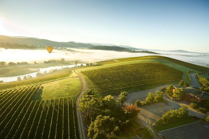 Yarra Valley Wine Day Tour - Yarra Valley Wine Day Tour from Melbourne, what the day actually feels like