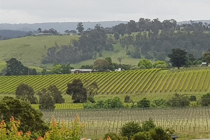 Yarra Valley Wine Tasting Day Tour from Melbourne - Key Things I’d Book This For