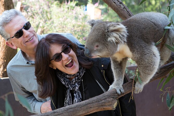 Yarra Valley Wine & Wildlife - Private Regional Tour - What Time, Transfers, and Customization Really Mean for You