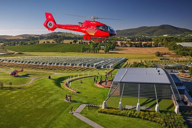 Yarra Valley Wine & Wildlife - Private Regional Tour - Healesville Sanctuary With a Ranger Option for Real Wildlife Time