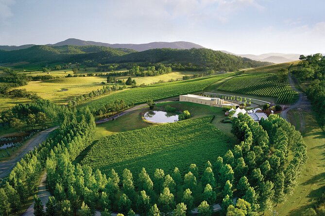 Yarra Valley Wineries Private Day Tour - Luxury Pickup, Paul the Guide, and Private-Group Pace