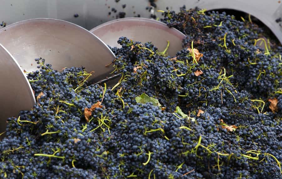 Yarra Valley: Winery Tour with Lunch at Yering Station - Key points to know before you go